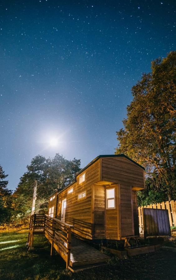 Umpqua'S Last Resort - Wilderness Cabins, Rv Park & Glamping Idleyld Park Buitenkant foto